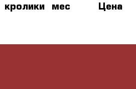 кролики 4мес 1000 › Цена ­ 1 000 - Кемеровская обл. Животные и растения » Другие животные   . Кемеровская обл.